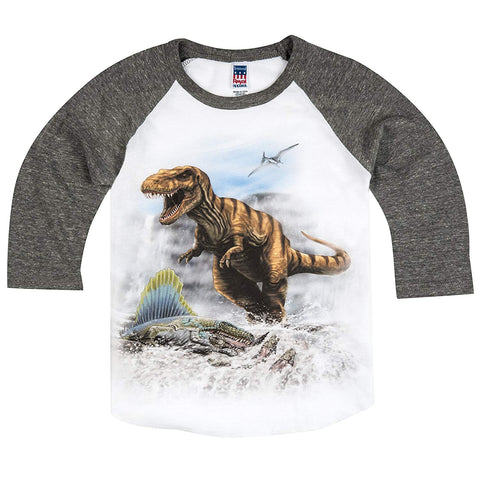 Shirts That Go Little Boys' T-Rex & Dimetrodon Dino Raglan T-Shirt